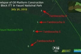 MAAP #114: Explotación Petrolera se adentra más en el Parque Nacional Yasuní (Ecuador)