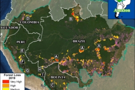 MAAP Síntesis 2019: Hotspots y Tendencias de Deforestación en la Amazonía