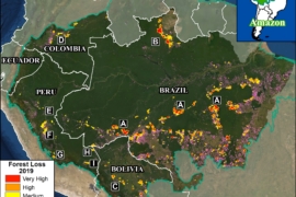 MAAP Synthesis: 2019 Amazon Deforestation Trends and Hotspots