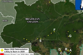 MAAP #119: Pronosticando los Fuegos del 2020 en la Amazonía Brasileña