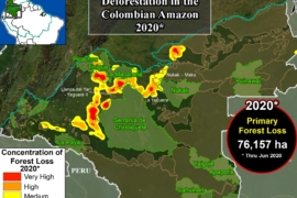 MAAP #120: Deforestación en la Amazonía Colombiana – 2020