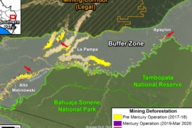 MAAP #121: Reducción de Minería Ilegal en la Amazonía Peruana Sur