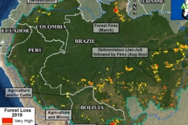 MAAP #122: Deforestación en la Amazonía 2019