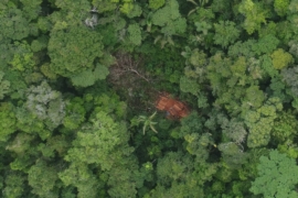 MAAP #126: Drones y Denuncias en la Amazonía Peruana