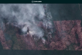 Amazon Fire Tracker 2020: Over 500 Illegal Major Fires in Brazilian Amazon