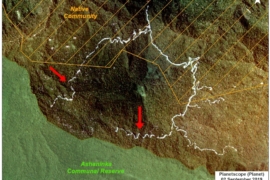 MAAP #123: Detecting Illegal Logging in the Peruvian Amazon