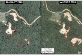 MAAP #124: Deforestación 2020 en la Amazonía Peruana