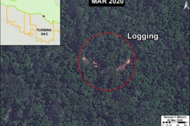 MAAP #125: Detecting Illegal Logging with Very High Resolution Satellites