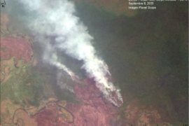 MAAP: Fires in the Bolivian Amazon 2020