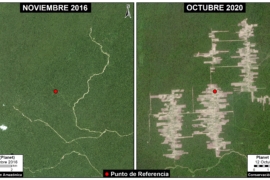 MAAP #127: Mennonite Colonies Continue Major Deforestation in Peruvian Amazon