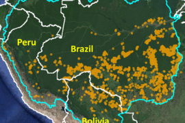 MAAP #129: Fuego en la Amazonía 2020 – Resumen de Otro Intenso Año
