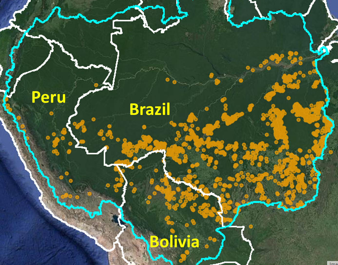 maap-129-fuego-en-la-amazon-a-2020-resumen-de-otro-intenso-a-o-maap