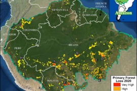 MAAP #132: Hotspots de Deforestación en la Amazonía 2020
