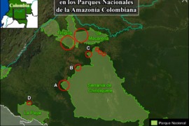 MAAP #133: Deforestation Continues in National Parks of Colombian Amazon