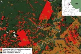 MAAP #134: Agriculture and Deforestation in the Peruvian Amazon
