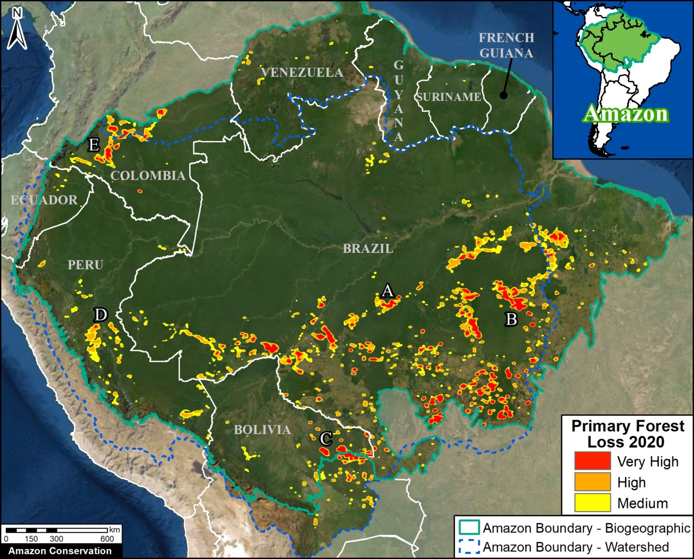 Maap 136 Amazon Deforestation Final Maap