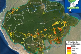 MAAP #136: Deforestación en la Amazonía 2020 (FINAL)