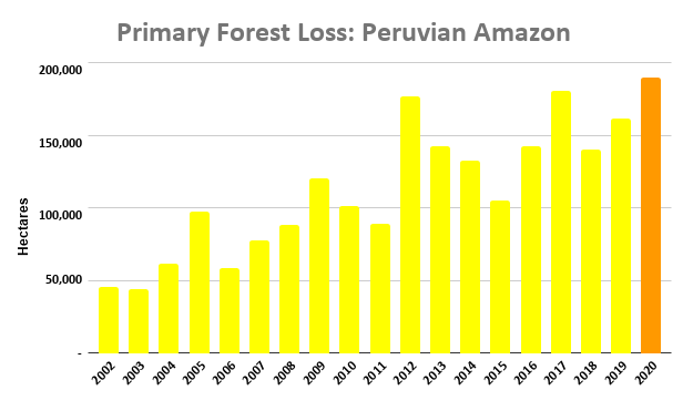 Maap 136 Amazon Deforestation Final Maap