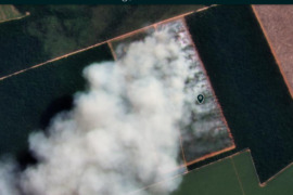 Amazon Fire Tracker 2021: Brazilian Amazon Fire Season Begins