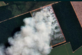Amazon Fire Tracker 2021: Brazilian Amazon Fire Season Begins