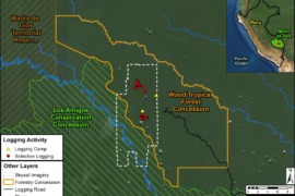 MAAP N.° 139: La tala ilegal en la Amazonía peruana – un nuevo caso emblemático
