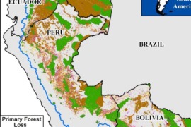 MAAP #141: Áreas Protegidas y Territorios Indígenas Eficaces Contra la Deforestación en la Amazonía Occidental