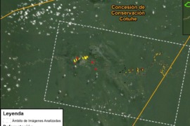 MAAP #142: Deforestación en la Concesión de Conservación Cotuhe (región Loreto)