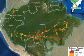 MAAP #147: Hotspots de Deforestación en la Amazonía 2021 (Primera Mirada)