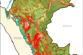 MAAP #148: Pérdida y Protección de Carbono en la Amazonía Peruana