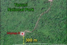 MAAP #150: New Oil Platforms Deeper into Yasuni National Park (Ecuador), towards Uncontacted Indigenous Zone