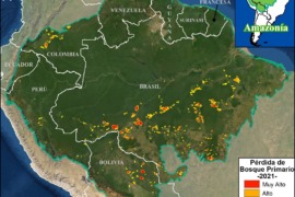 MAAP #153: Hotspots de Deforestación en la Amazonía 2021