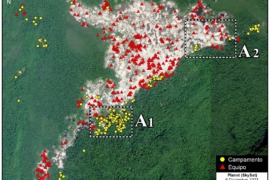 MAAP #156: Intense Mining Activity in Yapacana National Park (Venezuelan Amazon)
