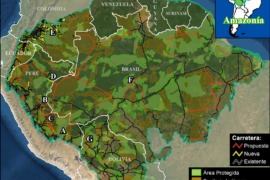 MAAP #157: New and Proposed Roads Across the Western Amazon