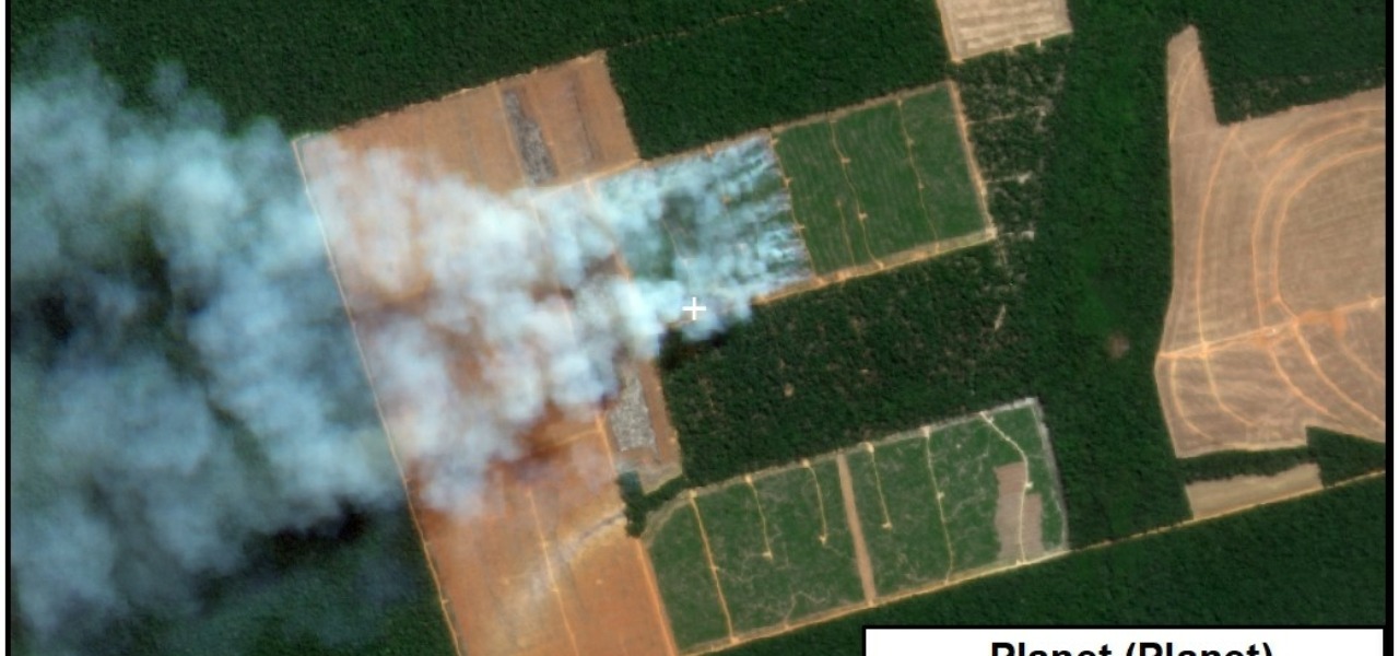 MAAP #161: Soy Deforestation in the Brazilian Amazon