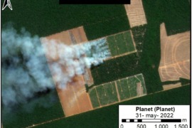 MAAP #161: Soy Deforestation in the Brazilian Amazon