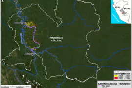 MAAP #163: Deforestación a lo largo de la Carretera Atalaya – Bolognesi en la Amazonía Peruana Central (Departamento de Ucayali)