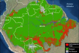 MAAP #164: Punto de Inflexión en la Amazonía – ¿Dónde estamos?