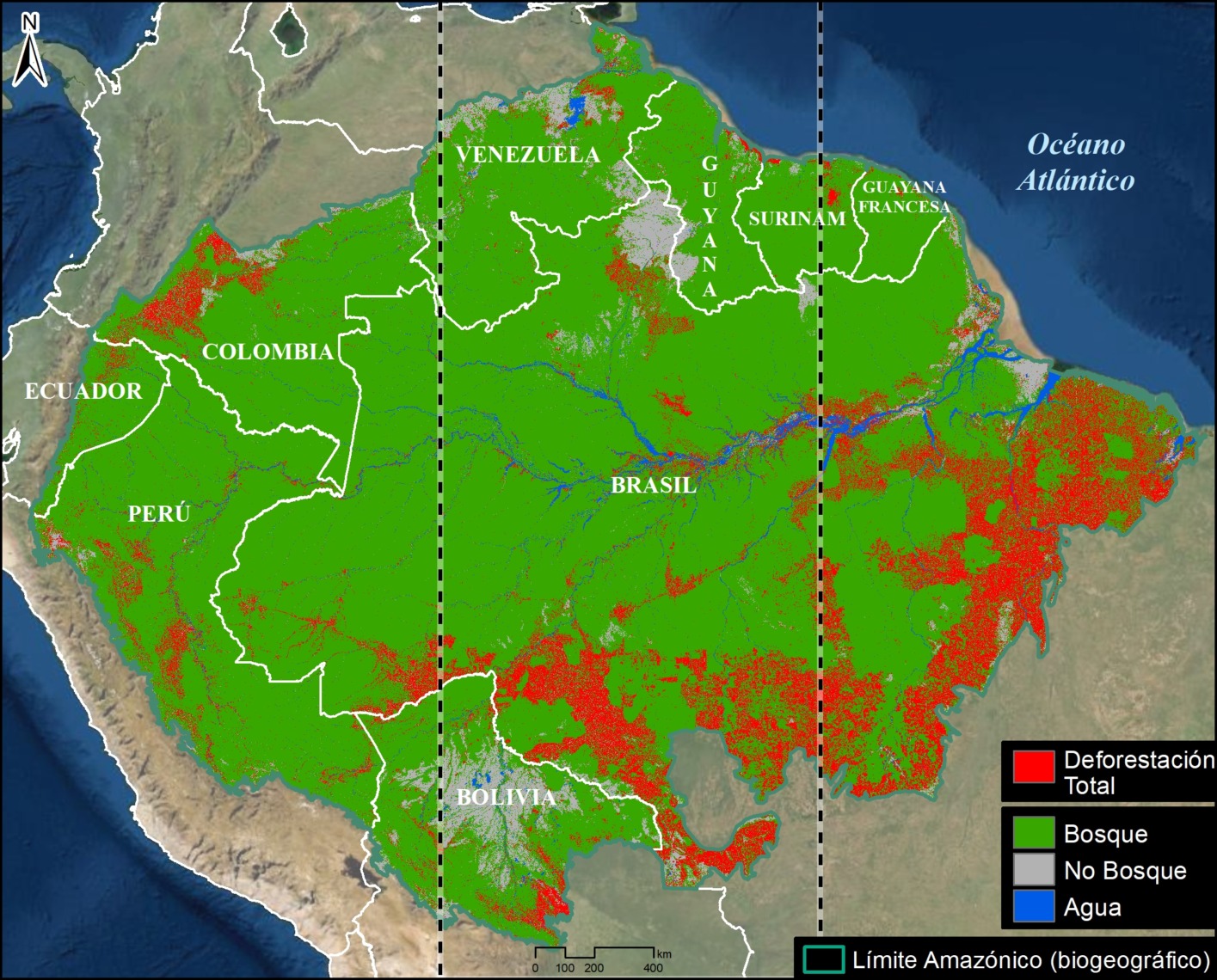 The  rainforest: The world's most important ecosystem – The  Rainforest Foundation