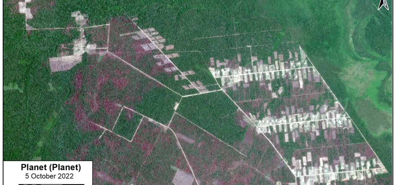 MAAP #166: Mennonites have deforested 4,800 hectares (11,900 acres) in the Peruvian Amazon