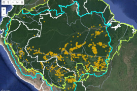MAAP #168: Fuegos en la Amazonía 2022
