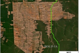 MAAP #179: Soy Deforestation in the Bolivian Amazon