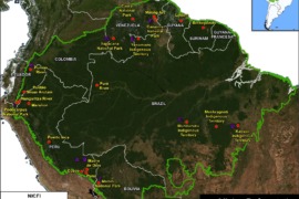 MAAP #178: Deforestación por Minería de Oro en la Amazonía