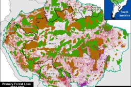 MAAP #183: Protected Areas & Indigenous Territories Effective Against Deforestation Across Amazon