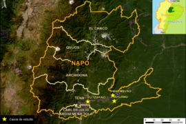 MAAP #184: AVANCE DE LA ACTIVIDAD MINERA EN LA PROVINCIA DE NAPO (ECUADOR)