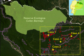 MAAP #186: Actividad minera al margen de la Reserva Ecológica Cofán – Bermejo