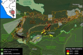 MAAP #185: Deforestación por Minería de Oro en la Amazonía Peruana Sur: Actualización 2021-2022