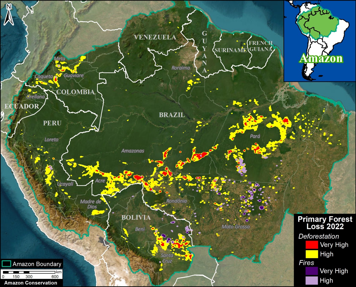 Deforestation Graph 2022