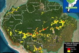MAAP #187: Deforestación y Fuegos en la Amazonía 2022