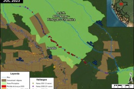 MAAP #187: PROLIFERACIÓN ALARMANTE DE LA MINERÍA ILEGAL EN LOS RÍOS DE LA AMAZONÍA PERUANA NORTE – REGIÓN LORETO