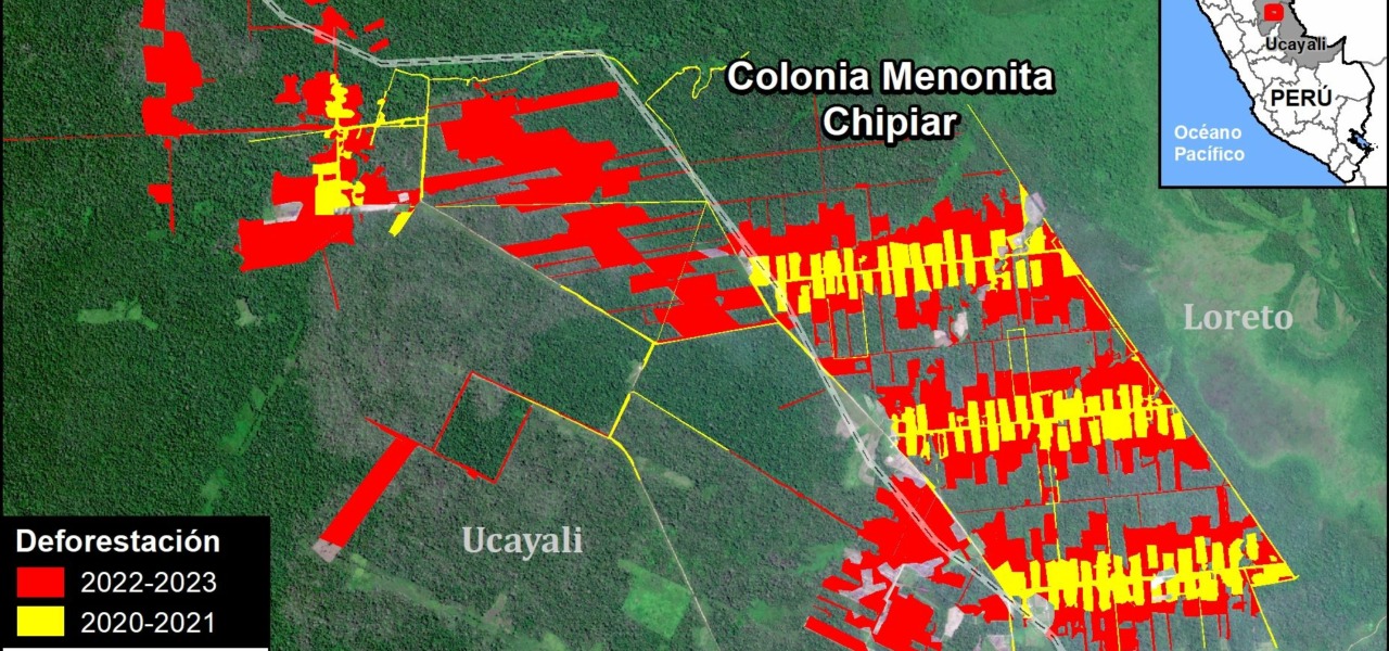 MAAP #188: Mennonite Colonies Continue Major Deforestation in the Peruvian Amazon